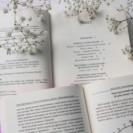 Книга "Приховане диво. Вся правда про анатомію жінки" Ніна Брохманн, Еллен Стьоккен Дааль