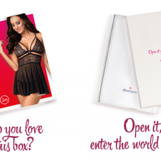 (SALE) Эротический кружевной комплект с сеточкой Obsessive 838-BAB-1 babydoll & thong black S/M, черный, пе