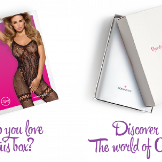 (SALE) Бодистокинг Obsessive Bodystocking F213 S/M/L, имитация кружевного боди и резинки для чулок