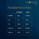 Эротическое платье Moonlight Model 13 XS-L Black, длинный рукав
