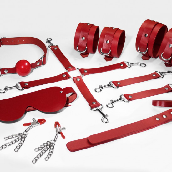 Набор Feral Feelings BDSM Kit 7 Red, наручники, поножи, коннектор, маска, паддл, кляп, зажимы