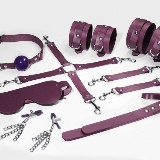 Набор Feral Feelings BDSM Kit 7 Burgundy, наручники, поножи, коннектор, маска, паддл, кляп, зажимы