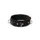 Нашийник з повідцем Liebe Seele Boudoir Amor Collar with Leash Black