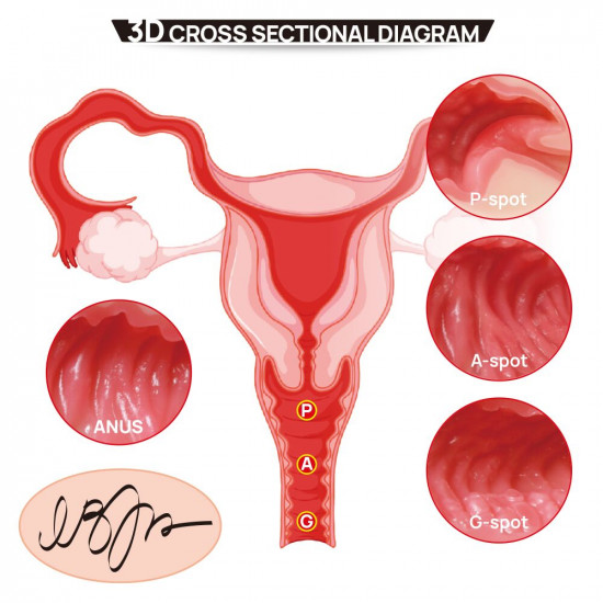 Мастурбатор Kokos 004 Vailla ONAHOLE Real Hips 2WayPlus з вібрацією та масажем